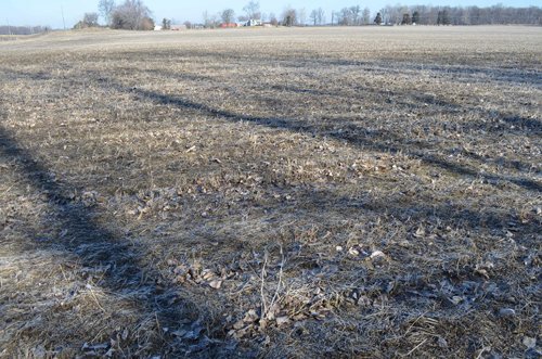 Property photo 38 - East Allen County - 55 Acre Land Auction
